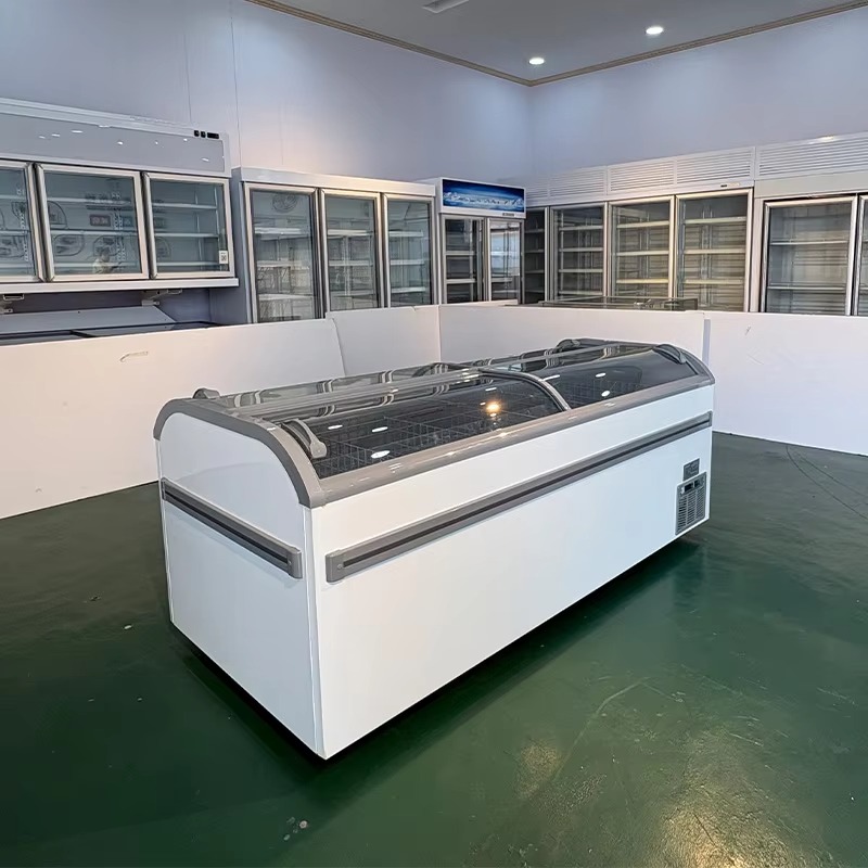 R290冷媒を使用したガラス天板のチェスト型冷凍庫。業務用冷 - Commercial Chest Freezer のレビューと価格